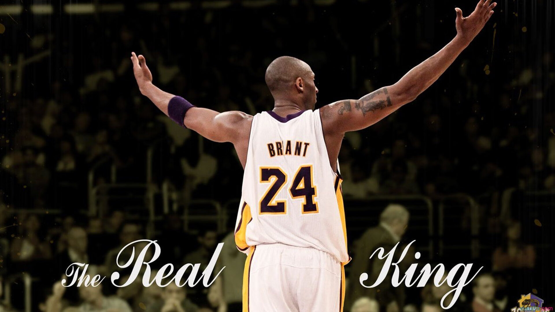 _城市天空漂移：在高楼间追逐速度_，漂浮在城市的天空